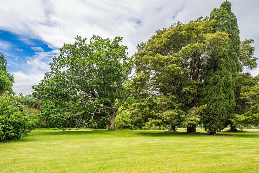 Park-like grounds